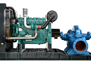 Weichai water pump unit