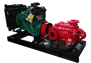 Cummins water pump unit